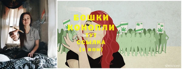 эйфоретик Козельск