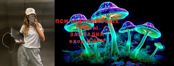 ешки Кодинск
