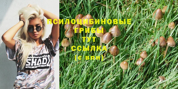 мескалин Козловка