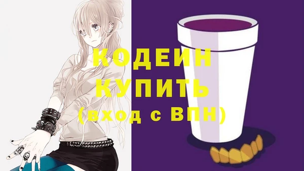 ешки Кодинск