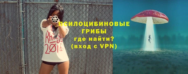 эйфоретик Козельск