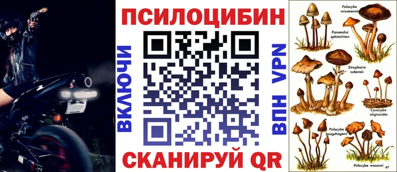 Псилоцибиновые грибы прущие грибы Купить Солнечногорск